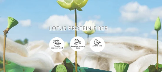 Funktionelles Proteingarn, Lotusfaser/Baumwollgarn, Aminosäuregarn für Strickstoffe
